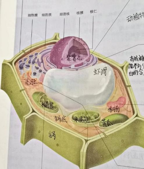 学生物和不学生物的都沉默了 ​​​