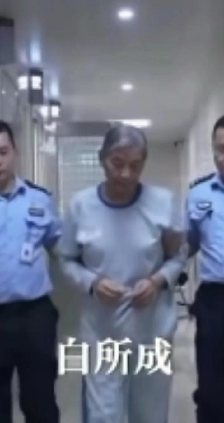 白所成：我好后悔不该走到这一步，我宁可过普通人的生活。缅北白所成和家族成员及骨干