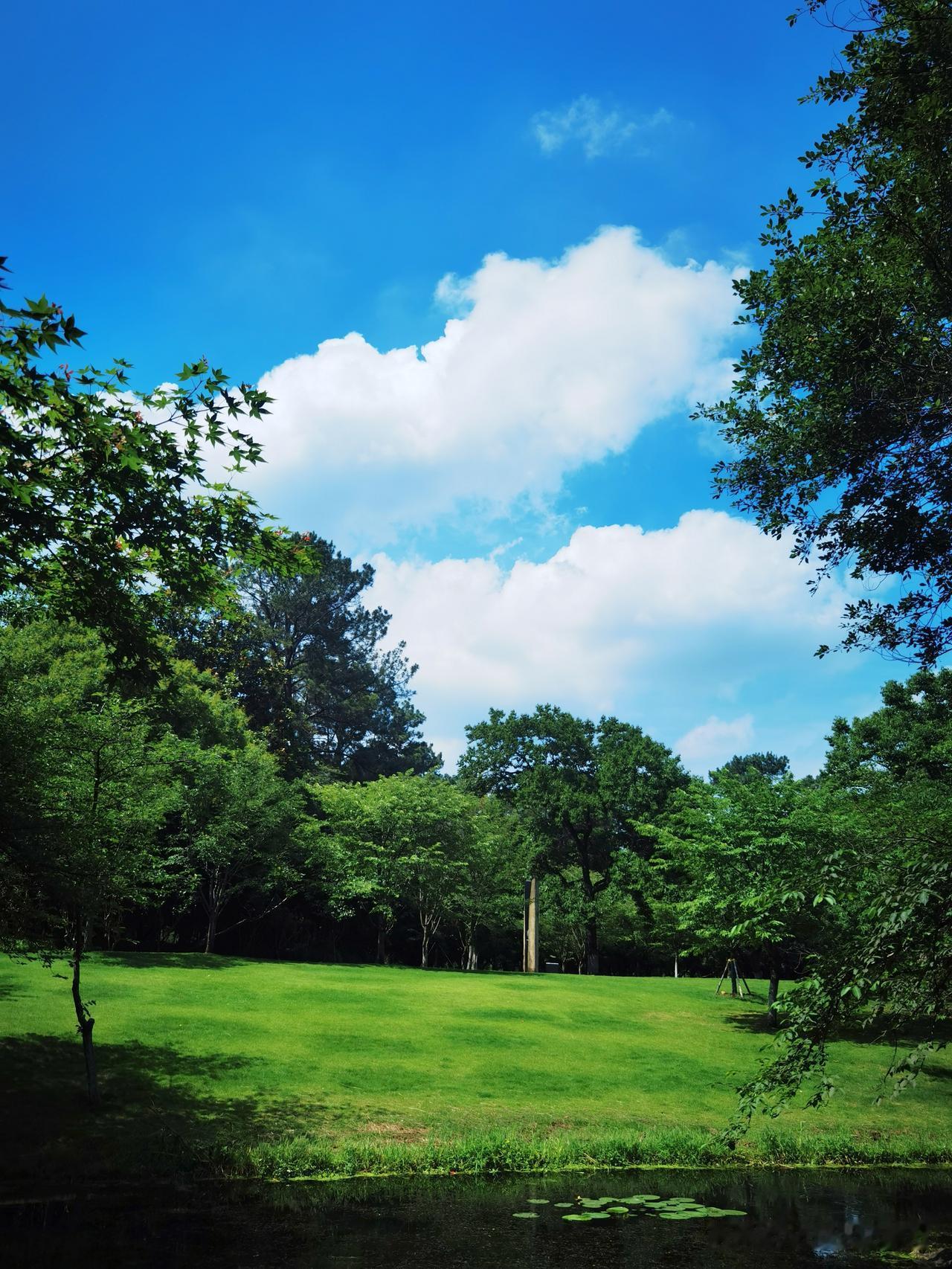 徒步杭州西湖南线景点，轻轻松松走进“柳浪闻莺”景区，柳浪闻莺是西湖十景之一，主打