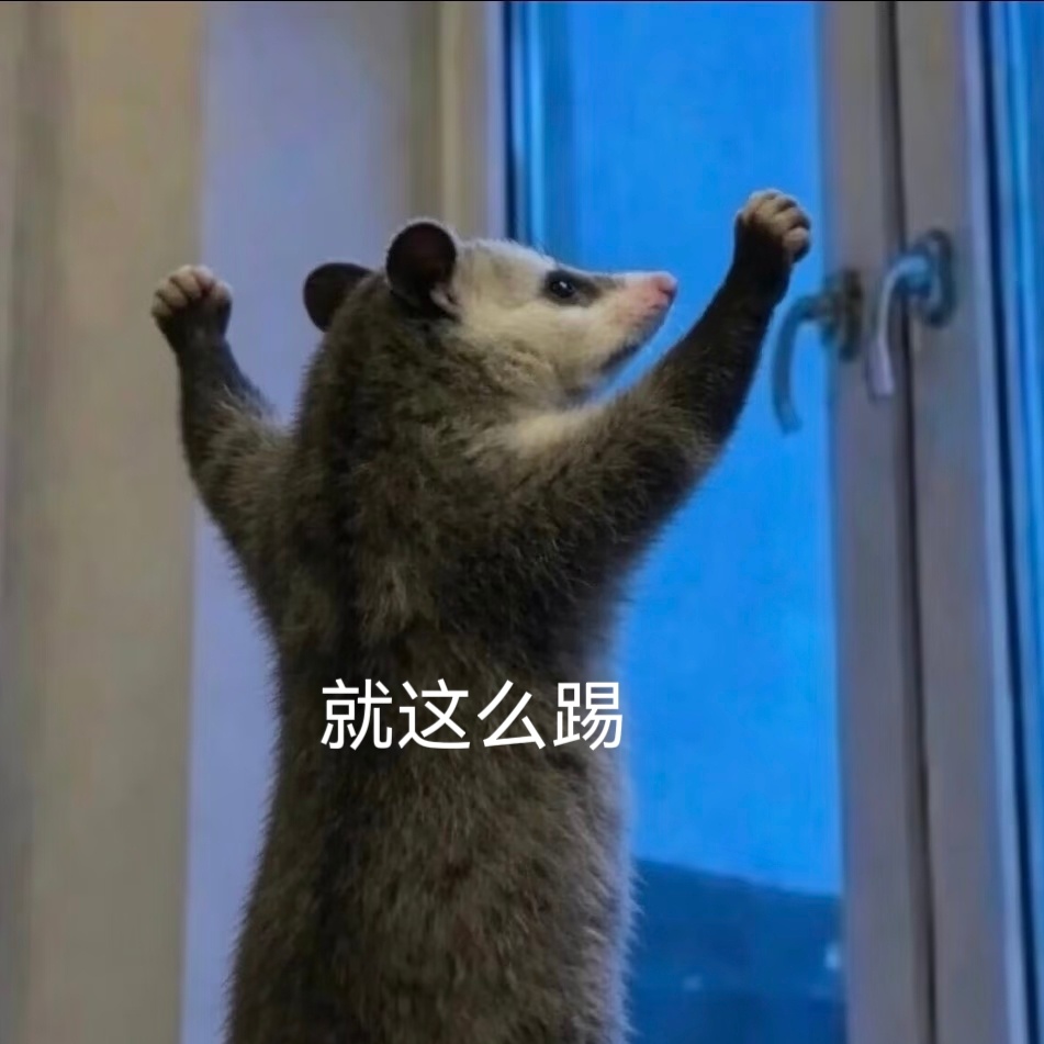 看球上淘宝闪购点外卖更优惠 凌晨葡萄牙迎来关键对决，全力冲击赛场，熬夜观赛氛围感