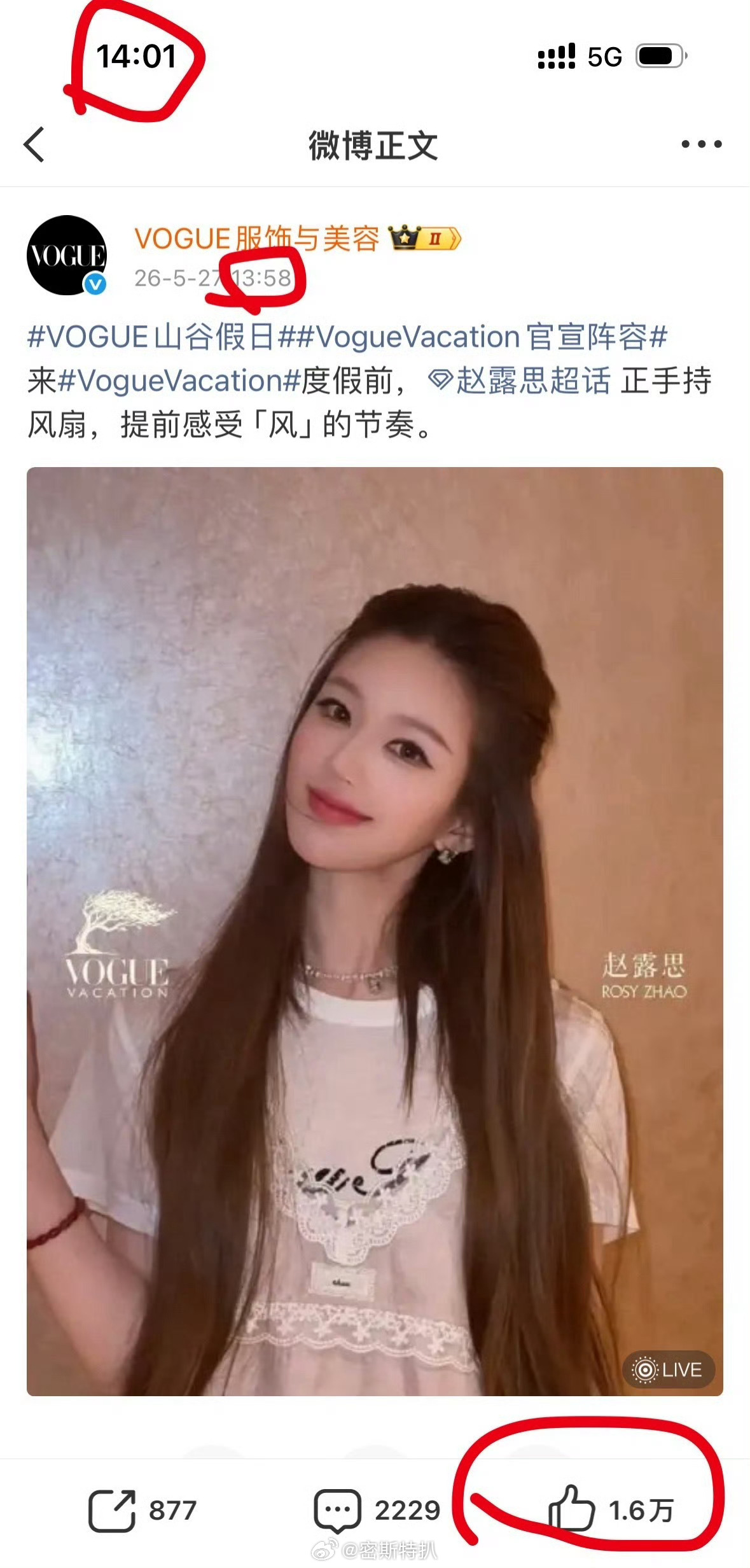 赵露思的号召力确实很强 