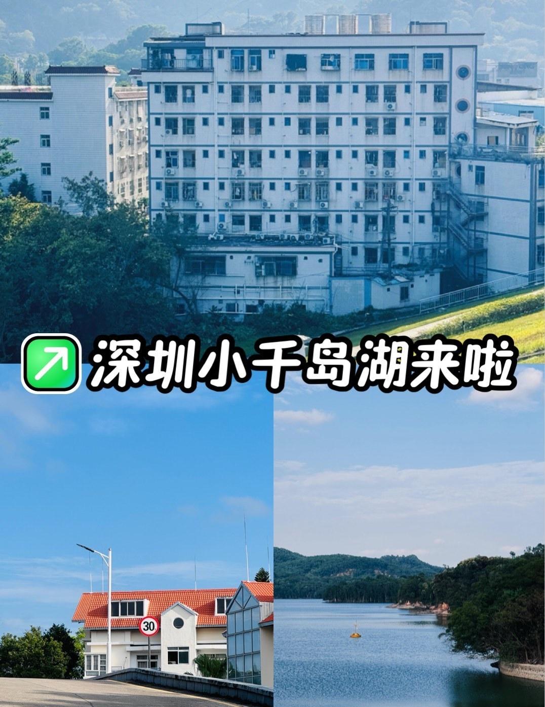 [心]宝子们！深圳又添宝藏打卡地✨宝安最大水库 铁岗水库 内部步道开放啦！徒步小