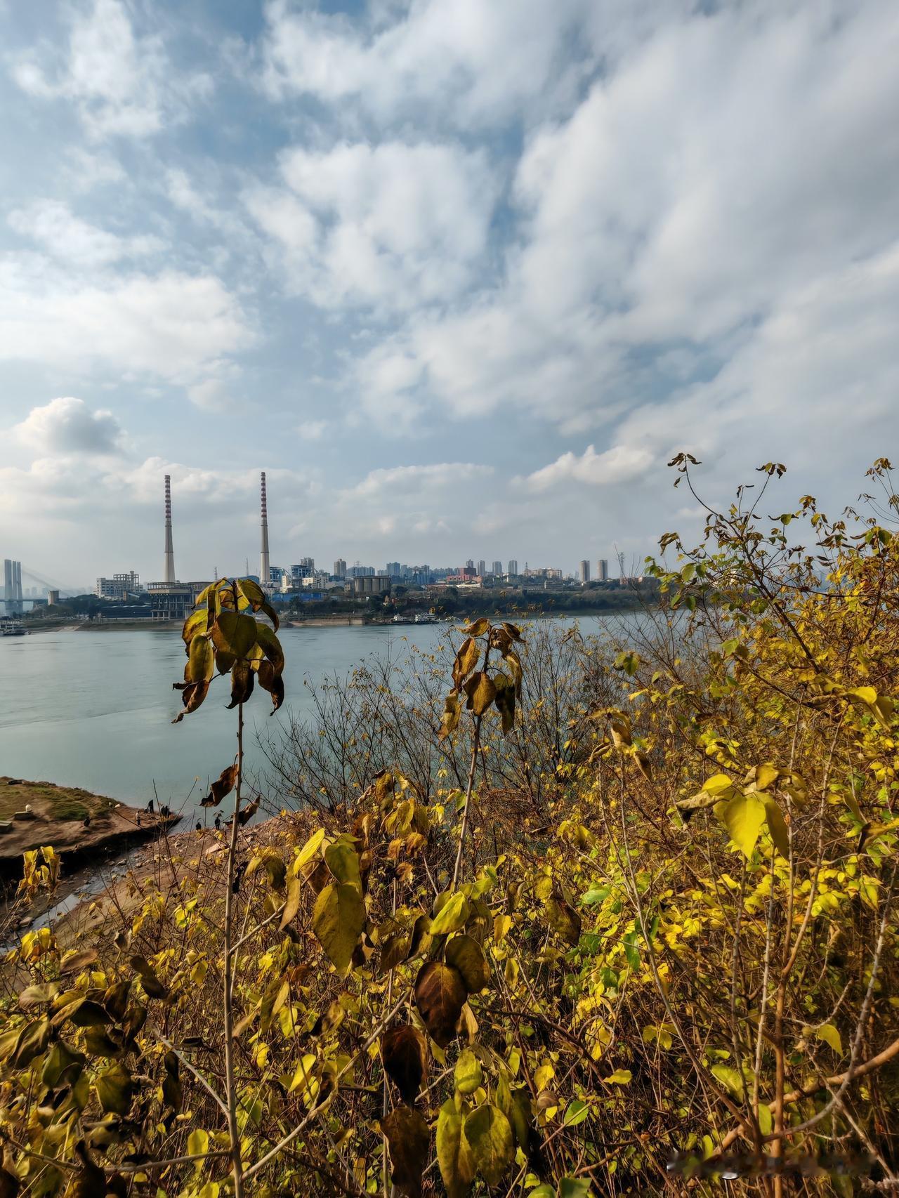 今年冬天还真的不一样。重庆以往冬天一到，天空总是阴沉沉雾蒙蒙的，可今年冬天感觉没