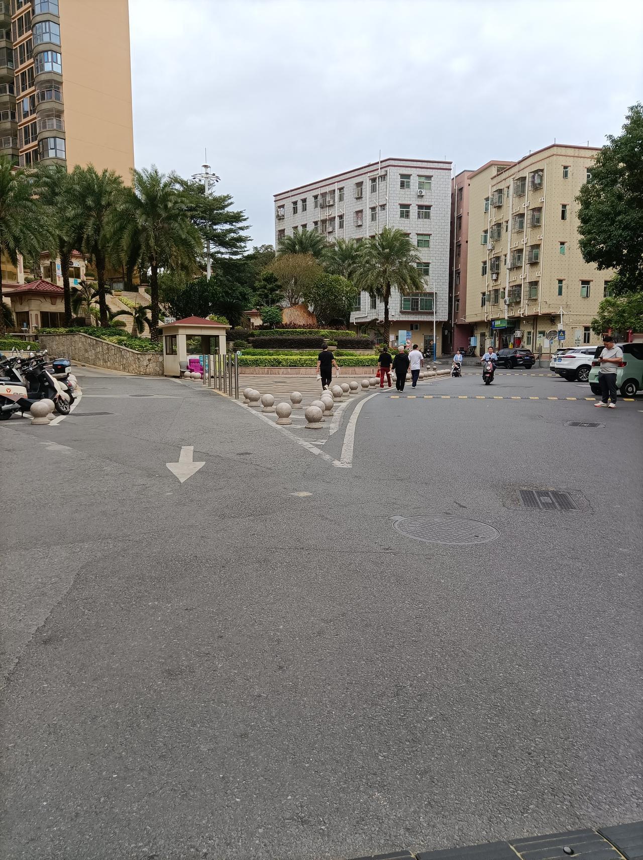 晒出你的本地生活本地人就喜欢结伴而行，逛超市，走路看风景，这是每天早上的必修课！