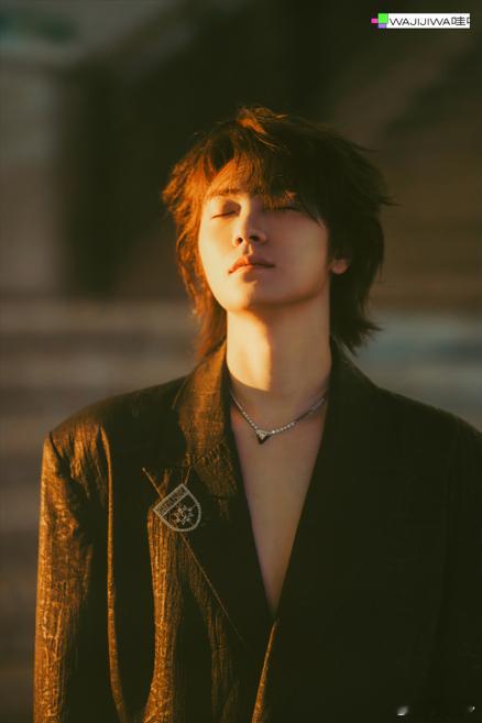 廖俊涛星光大赏深v造型 星光大赏的舞台上，廖俊涛的深V皮衣造型简直吸引了所有视线