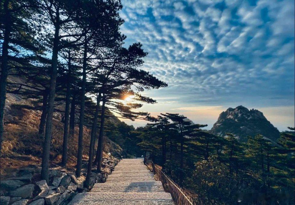 快乐星期五☕️昨日市场指数平稳、个股走弱，两市成交2.55万亿，较前日缩量672