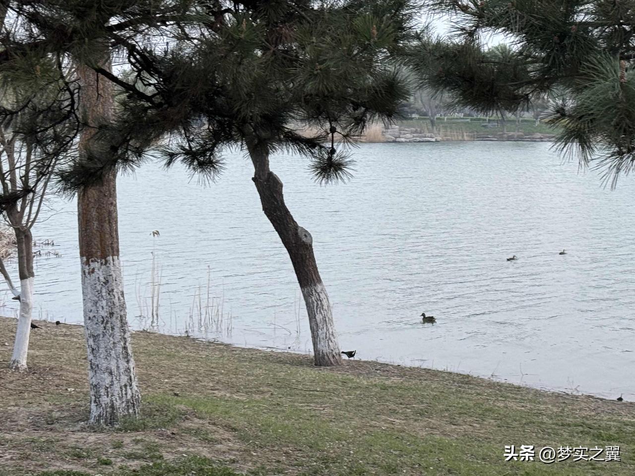 【小对联】
上：……？
下：吱吱呀呀。