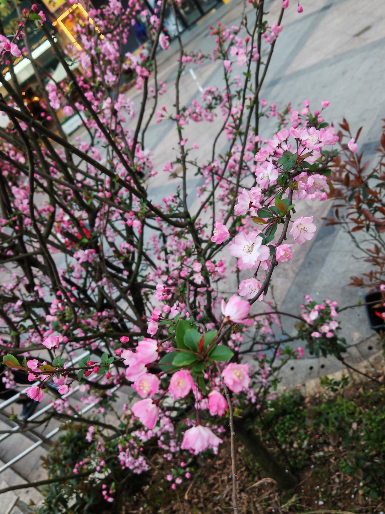 品草、品酒、品美食！