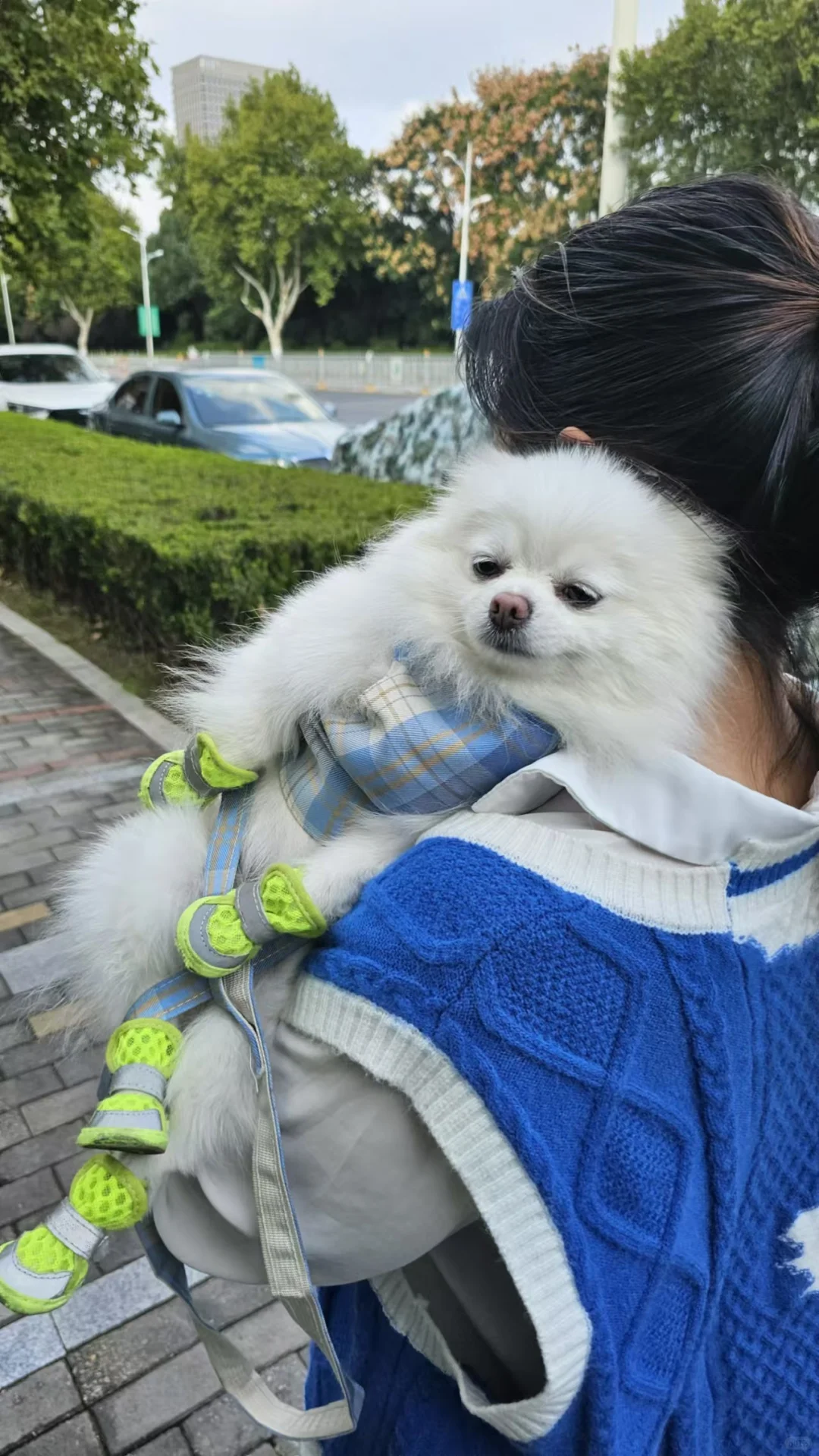 神似清朝老烟枪刚抽完的状态
