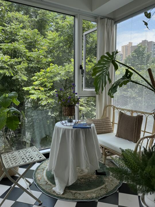 树景老洋房里的盛夏 养花看书 布置小家