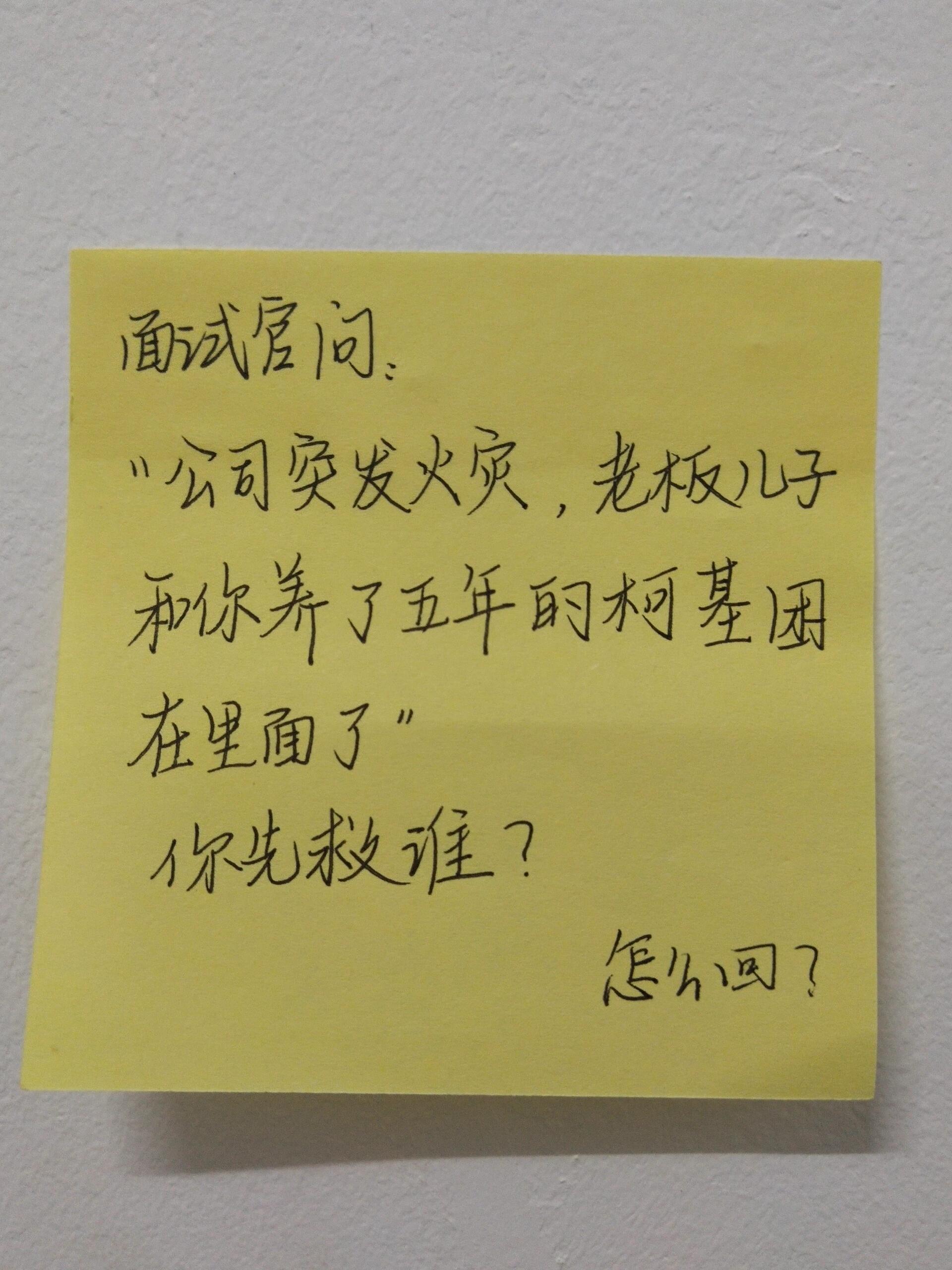 老板儿子和养了五年的柯基选谁? 