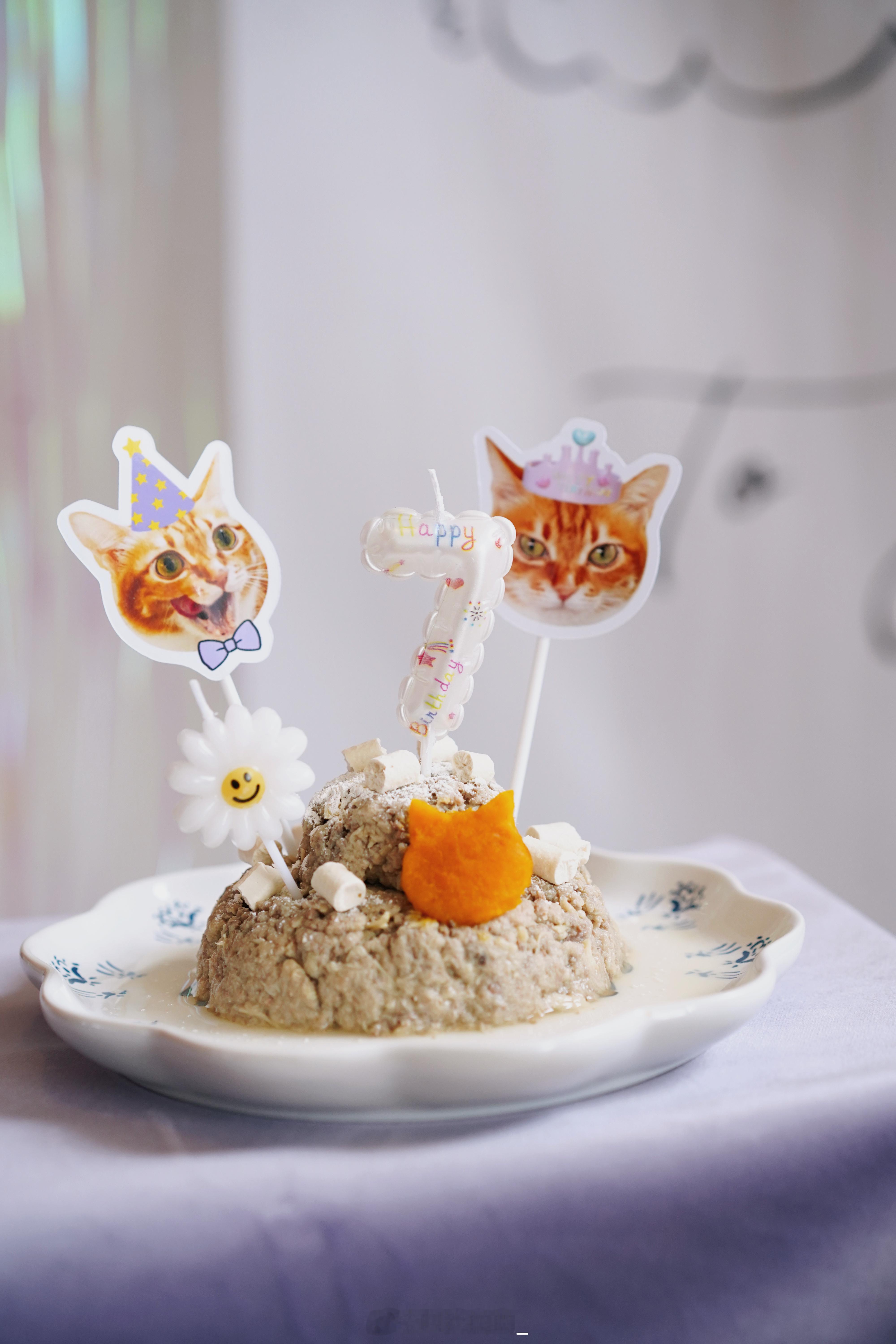 给妹妹手搓的7岁生日会🎉田园猫也超美白记小日子
