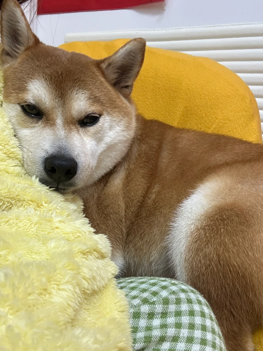 我感觉我俩有点暧昧了