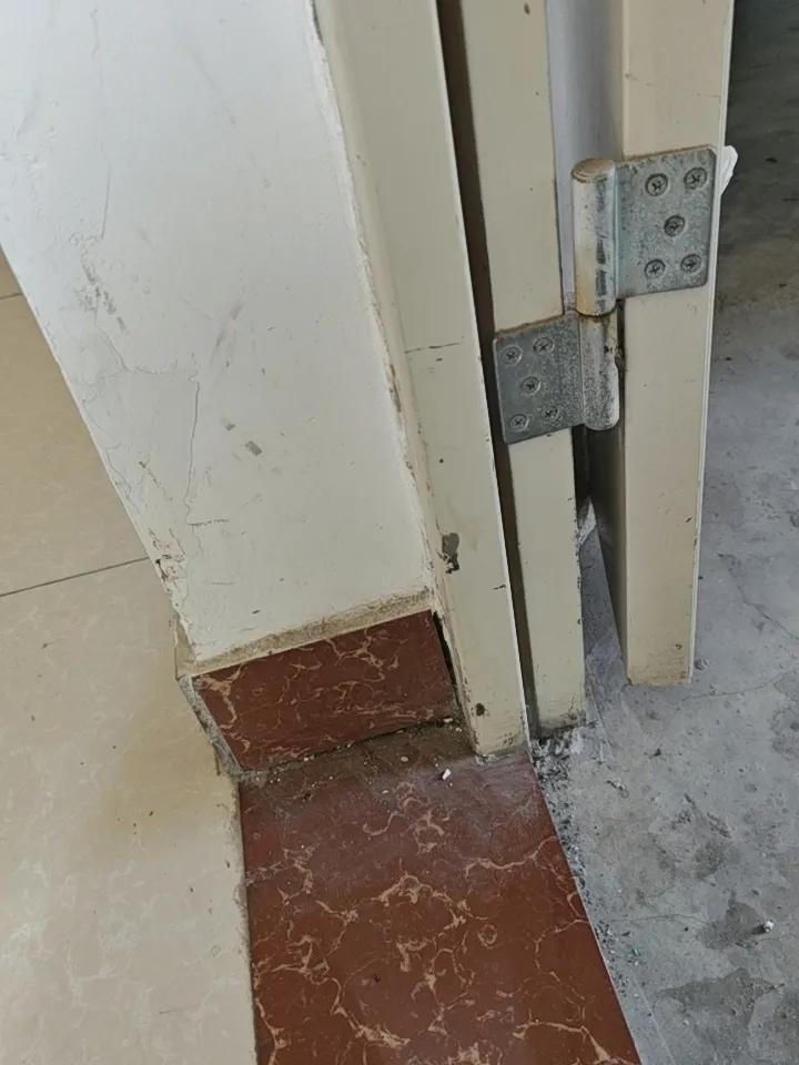 你们有见过仙人掌开花吗?