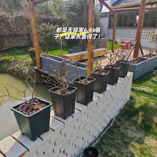 在德清发现养花人来了走不动道的宝藏咖啡店