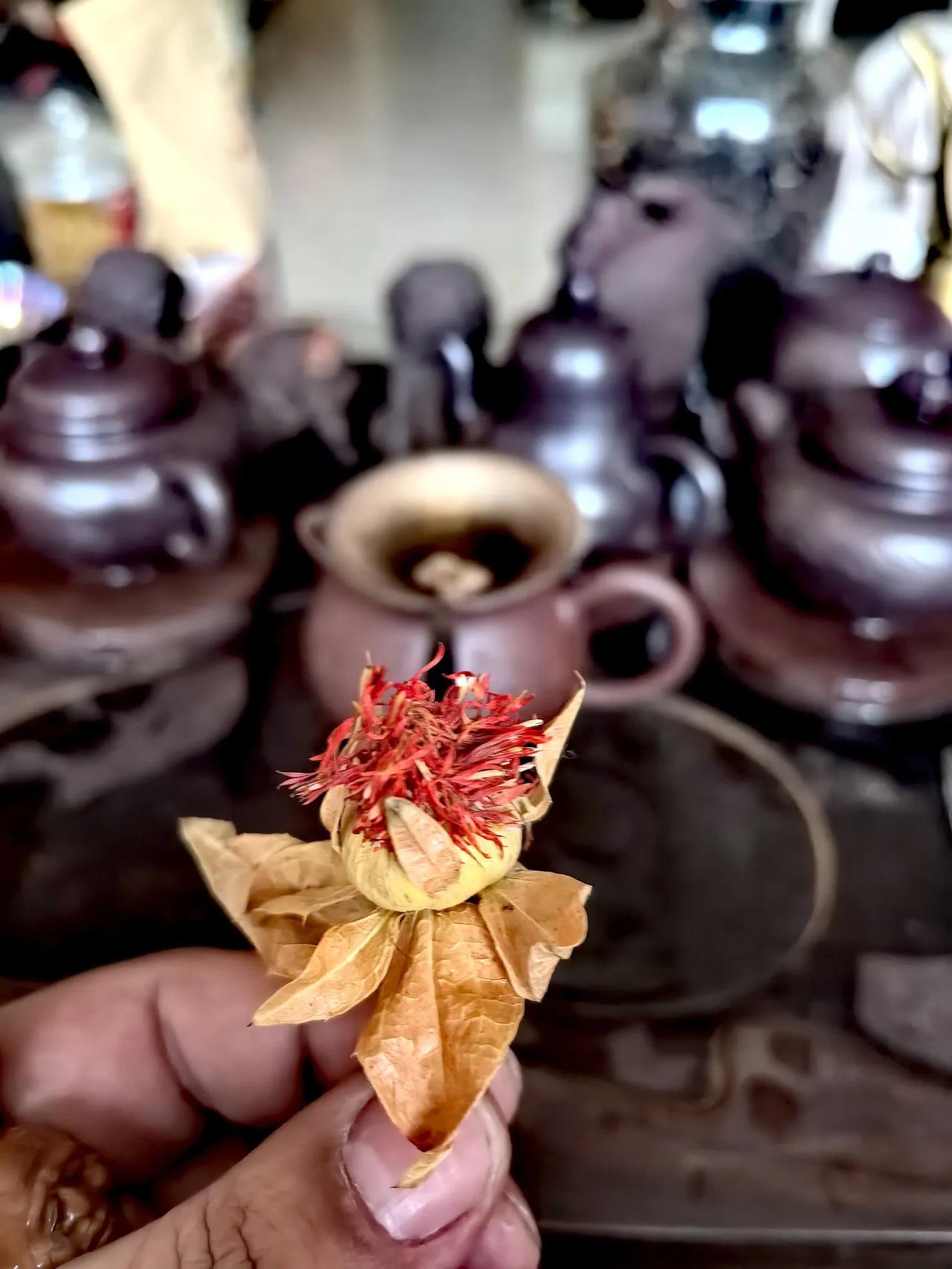 人活着忙忙碌碌为什么金蕊灼春，芳馨沁骨。活血通神，瑶台仙种，一抹绛霞驻人间。