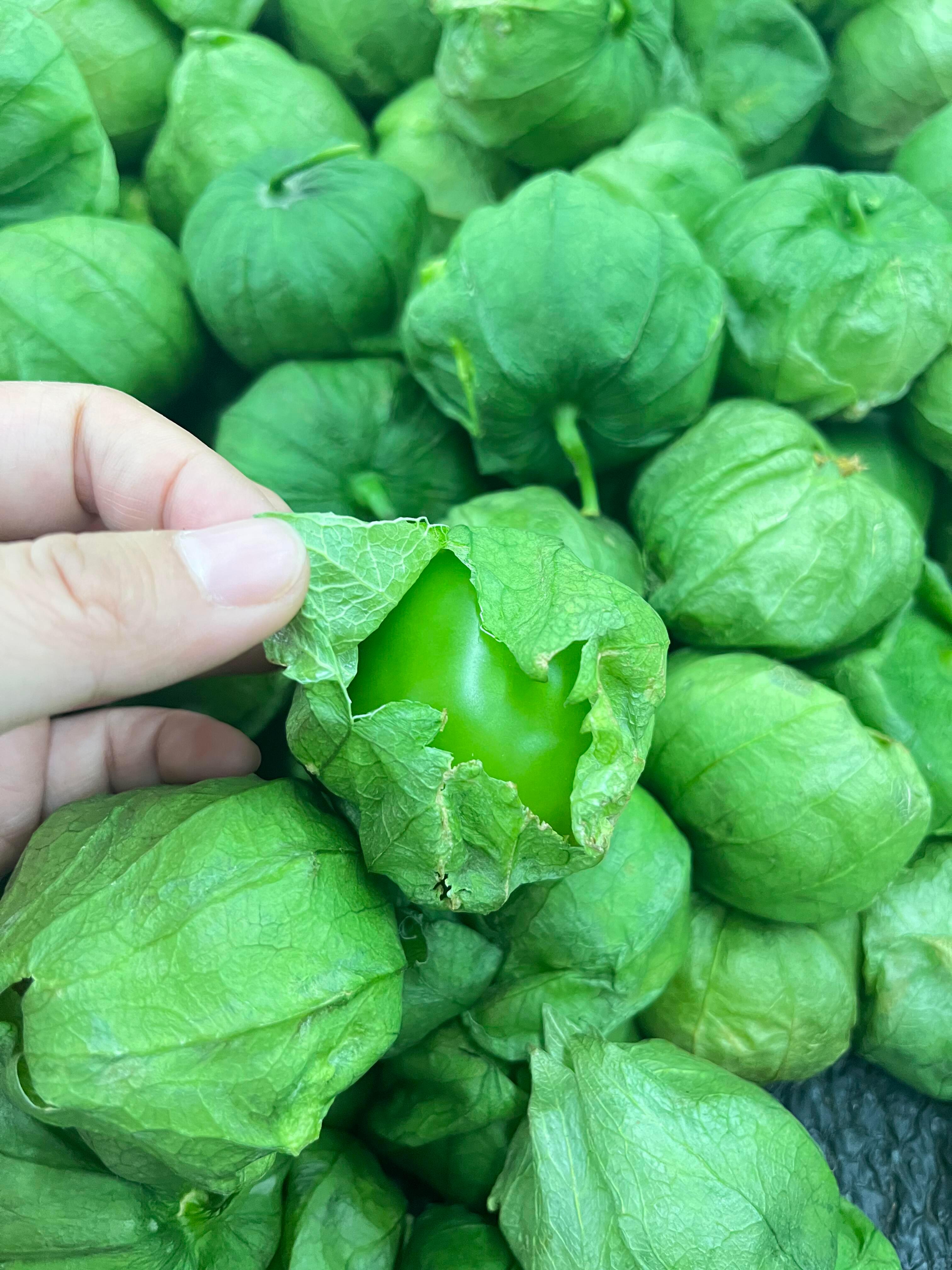 第一次见穿外衣的番茄 