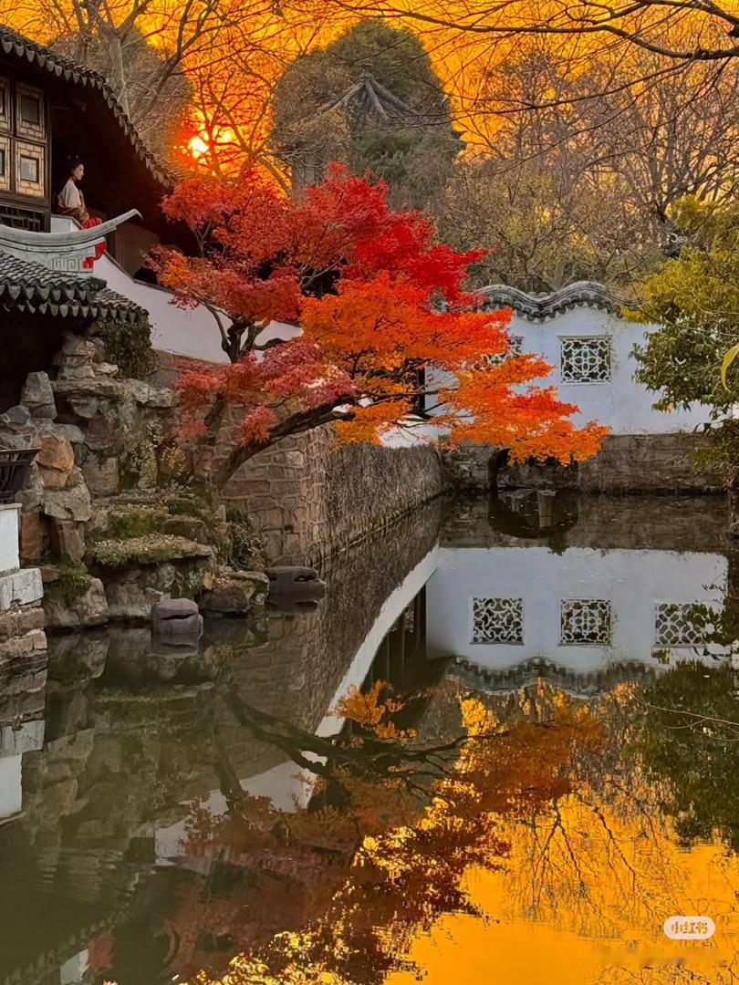 《务虚笔记》 作者：史铁生我曾走过山，走过水，其实只是借助它们走过我的生命；我看