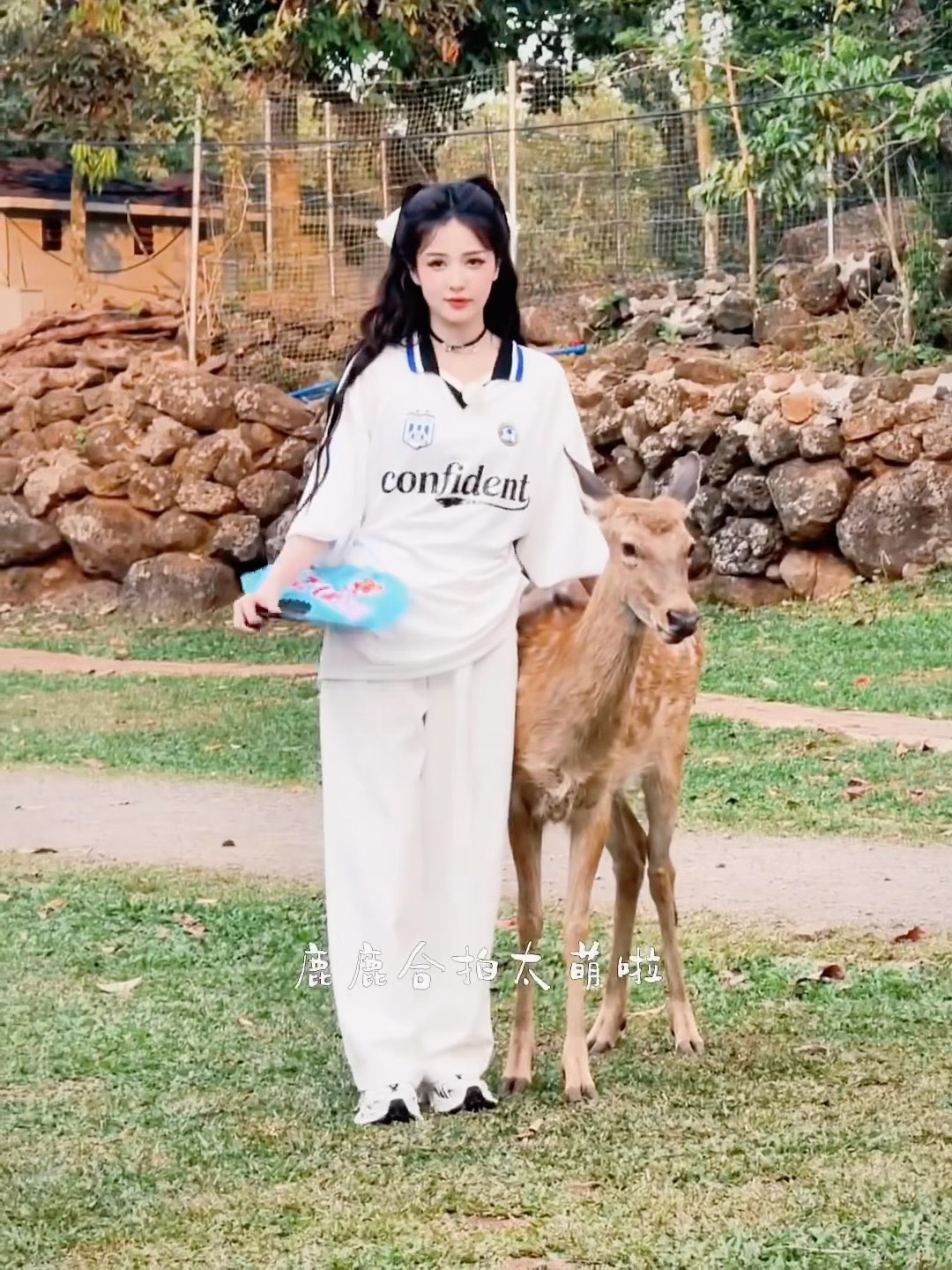 白鹿和梅花鹿合拍奔跑吧 白鹿遇上了真鹿，两个鹿撞在一起。梅花鹿拼命抢镜，白鹿笑着