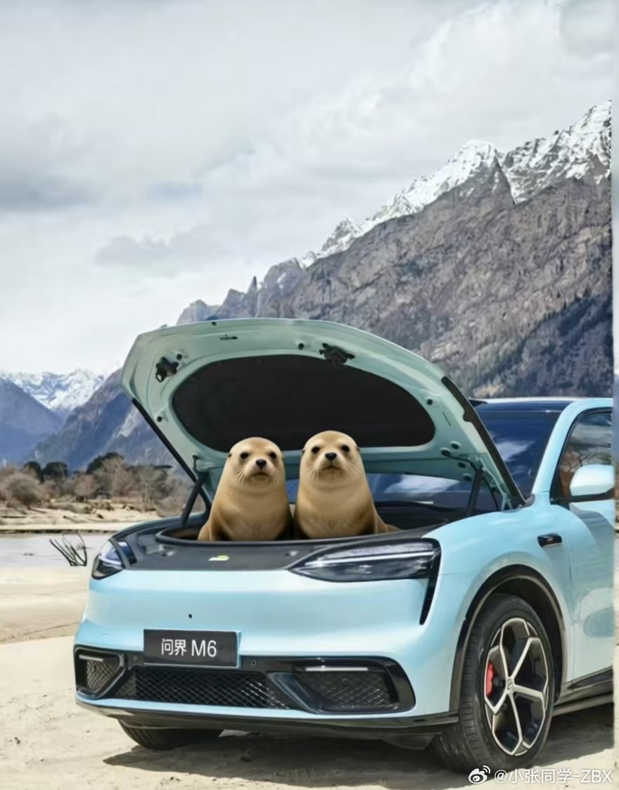 这真绷不住了...