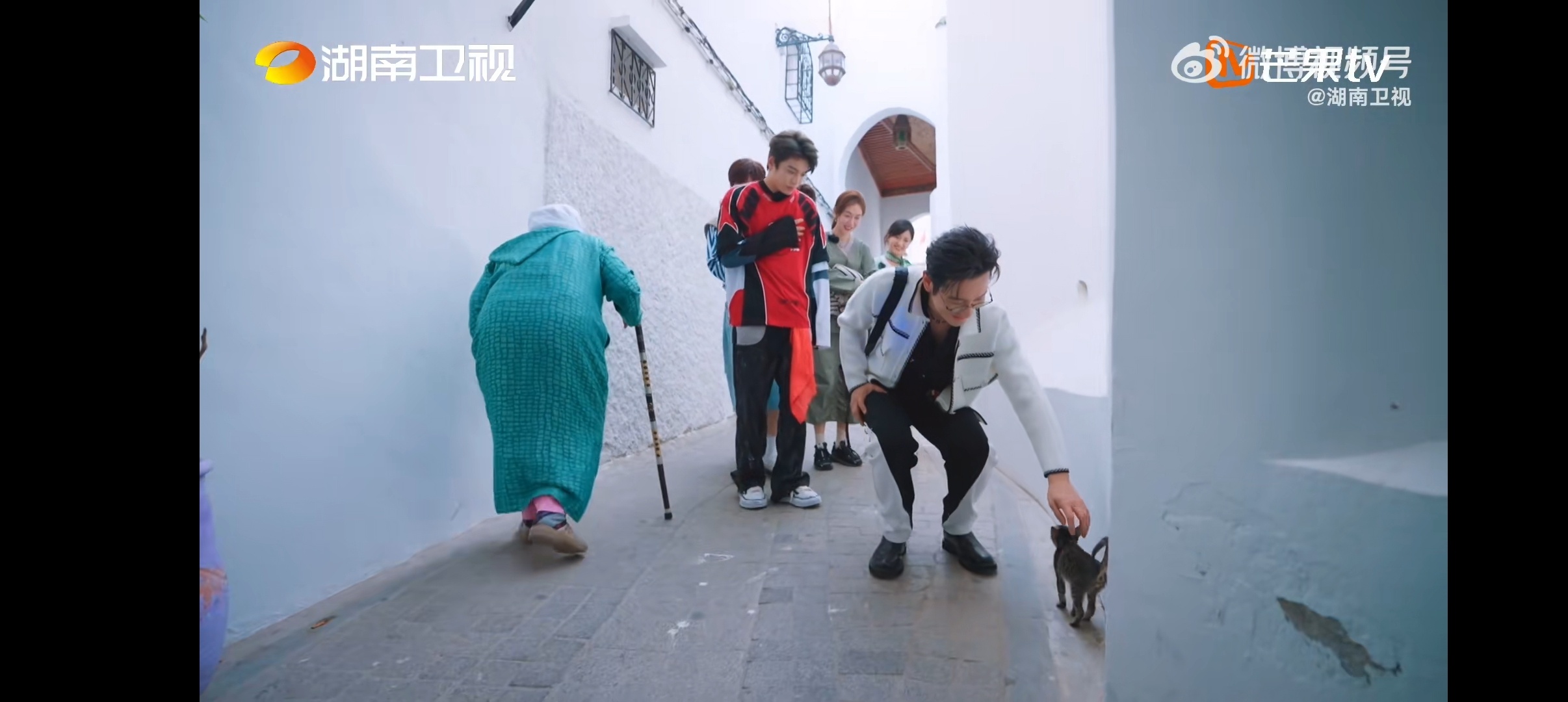 黄晓明把流浪猫带回中餐厅 中餐厅全员猫控吧，路遇小野猫太可爱了，直接收编回中餐厅