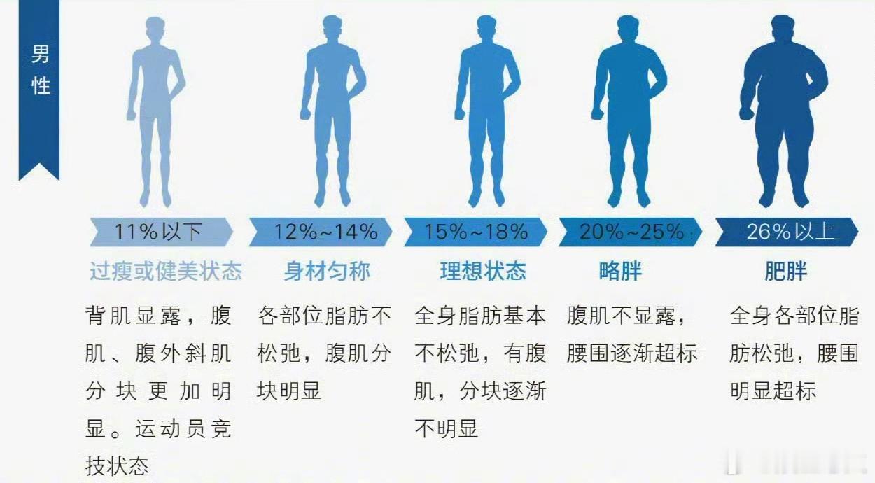 终于明白减重减肥减脂区别 减重掉的是秤上数字（水、糖原、肌肉为主），减脂改的是身