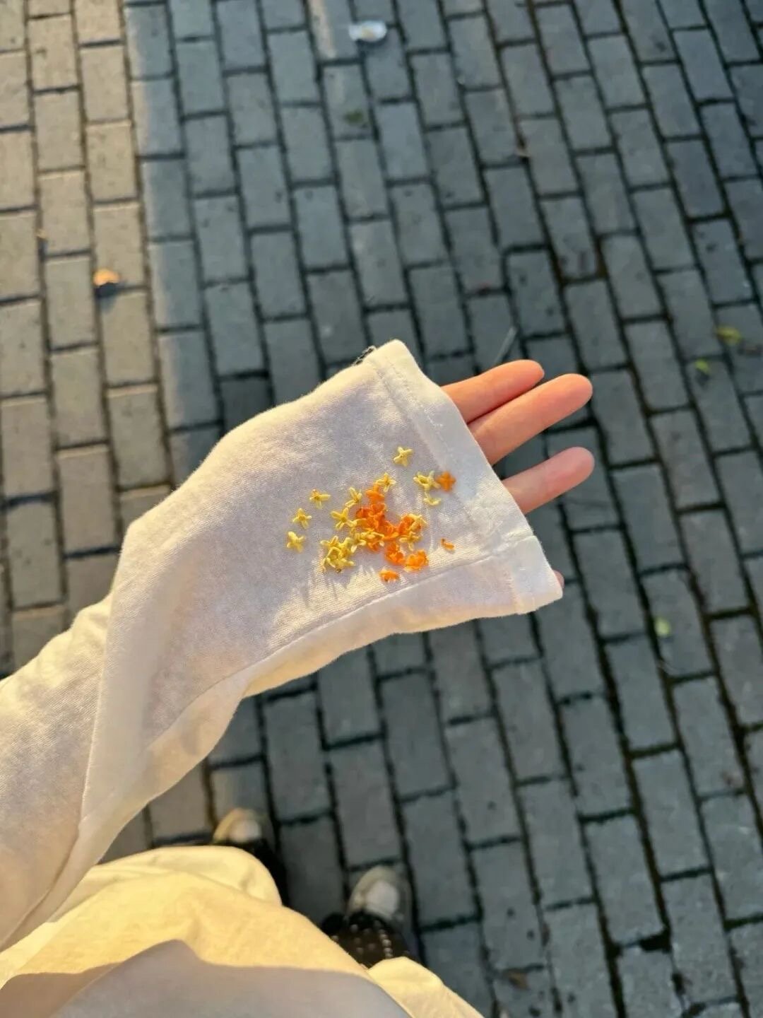 𝐒𝐰𝐞𝐞𝐞𝐞𝐭 🍭ʚෆɞ我向秋风许个愿，不是富贵不相见。 ​​​