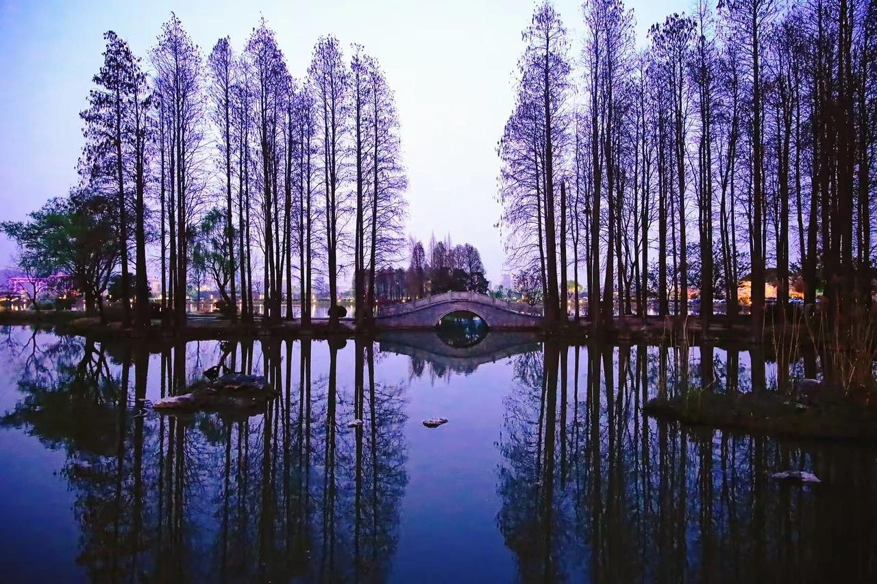 如果你想放空内心，那么去一趟鼋头渚吧，那里有你想要的一切，和你意想不到的许多……