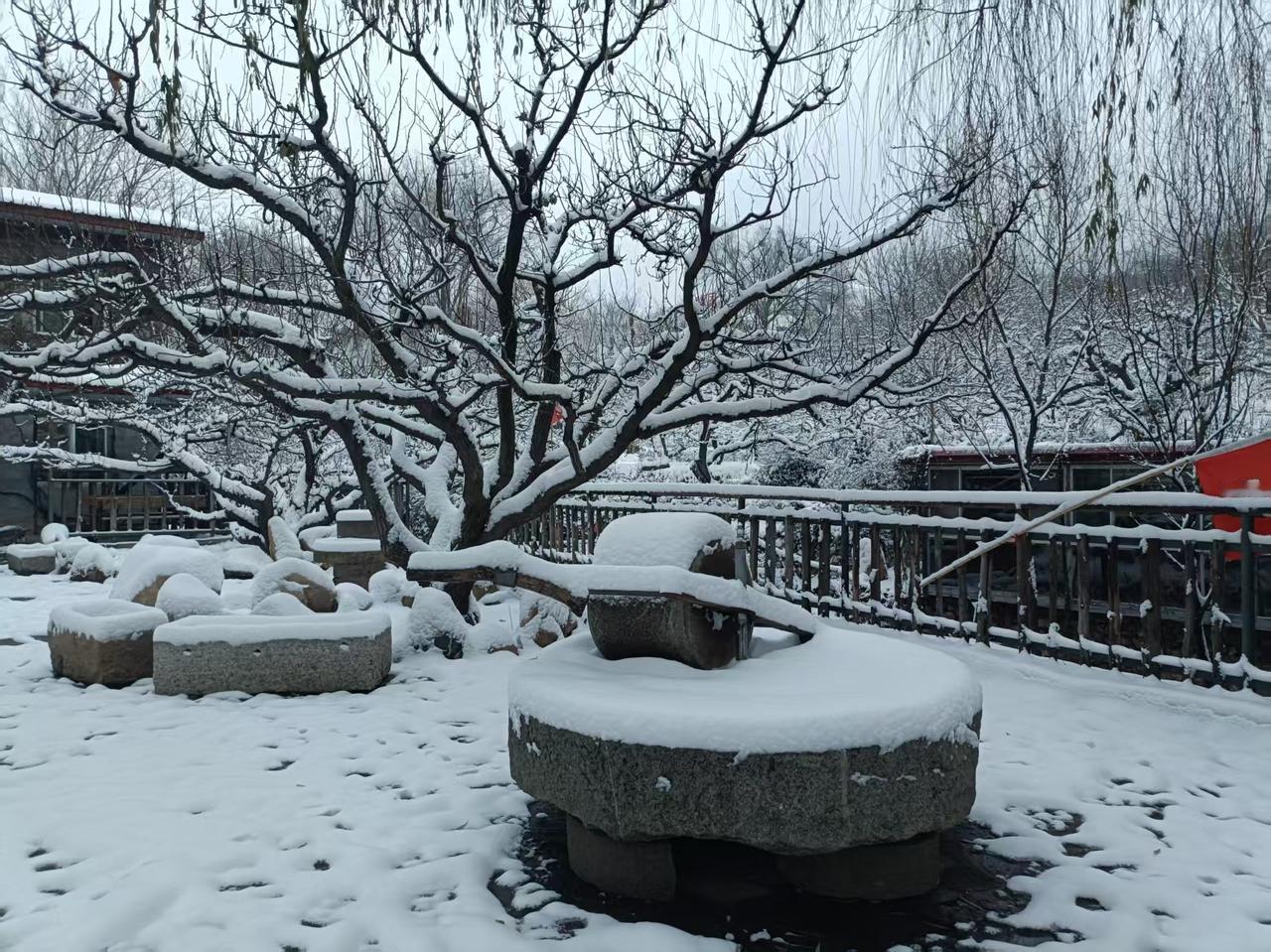 乙巳十月二十四日观雪有怀
（山东青岛/乔绪涛）
浮峰东望隐烟鬟，
疑惑人非天地间