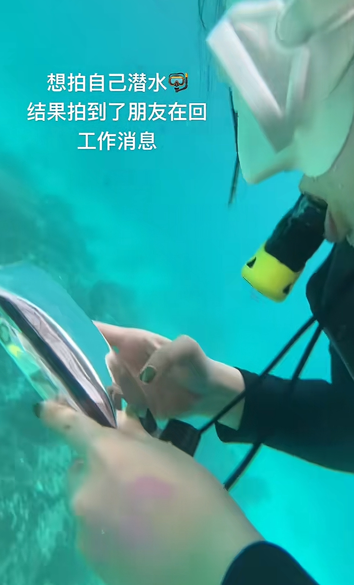 牛马到海里成海马了 