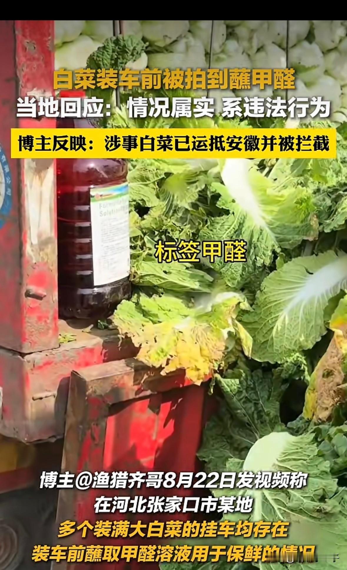 涉事白菜运到了安徽？？？
真的假的，我也是安徽的，我们安徽的家人们犯了什么错，竟