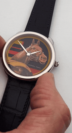 花那么多钱，就为了看马吐舌头