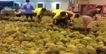 失去中国市场，大量水果烂在地里后，就开始后悔得罪中国了，咱们只能跟他们说，现在知