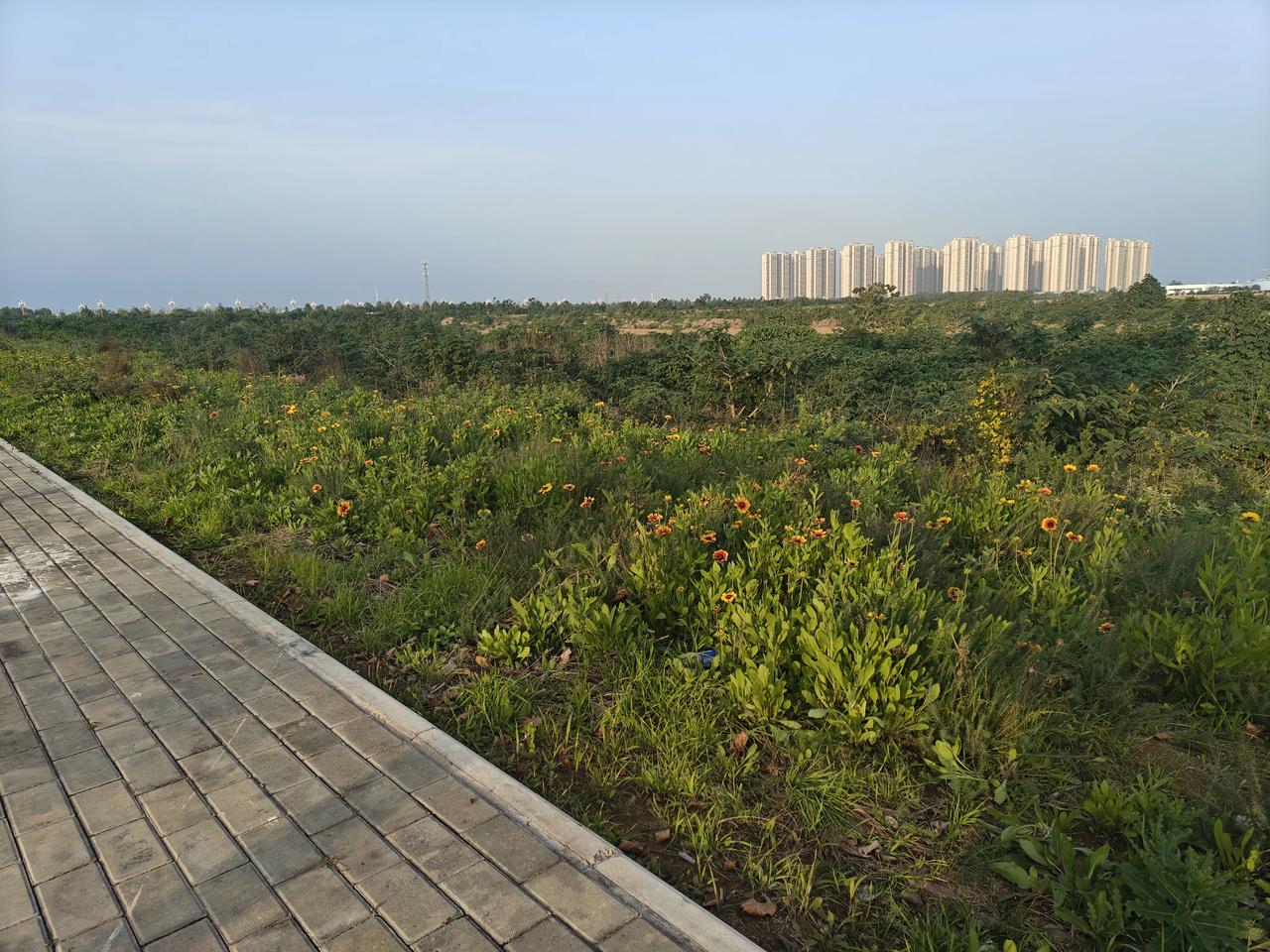 路边的风好大，大到吹散了今天的疲惫，却吹不散心里那点沉甸甸的失落。回家的路，风把