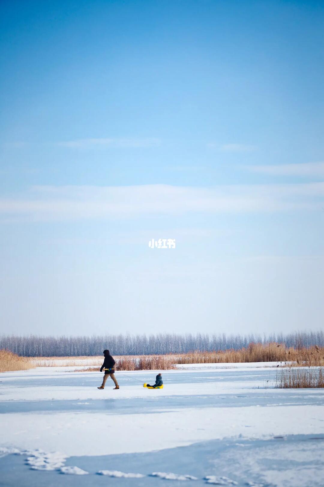 寒假带娃好去处|赏冰放空的感觉真好