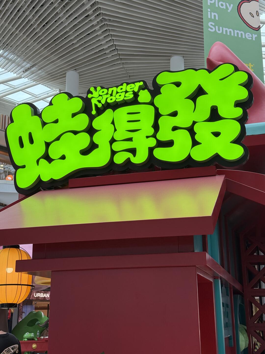 蛙得發我来啦