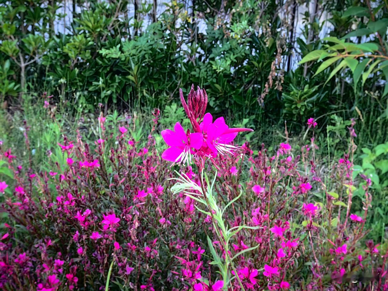 友友们，饭后三个坏习惯容易伤脾胃，别再忽视了。
 
咱们年纪大了，脾胃功能大不如