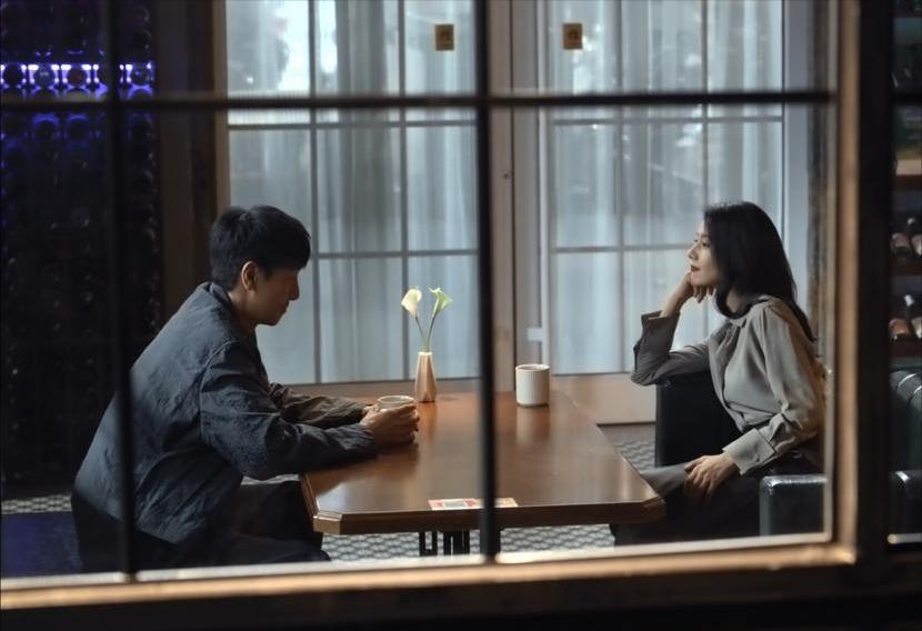 高圆圆和张鲁一主演《绝密较量》是一部国安剧，高圆圆饰演赵亚苧，和张鲁一演对手戏