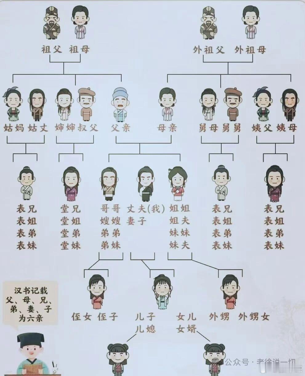 很多人搞不清楚亲戚图谱 ​​​