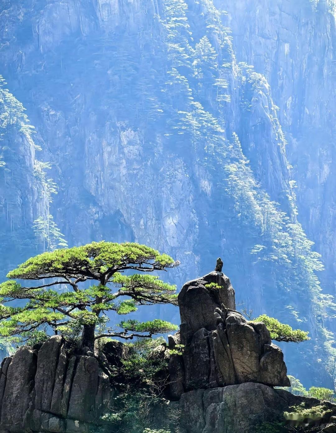 老人走后，有4笔钱记得领！


前几天听楼下大姐说这件事，她说家里老人去世了，家