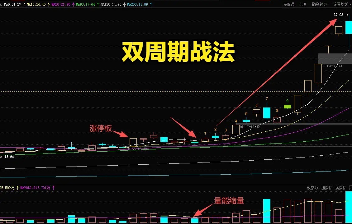 极简双周期交易战法！周线定方向，日线找买卖，新手一看就会做交易不用盯着繁杂指标，