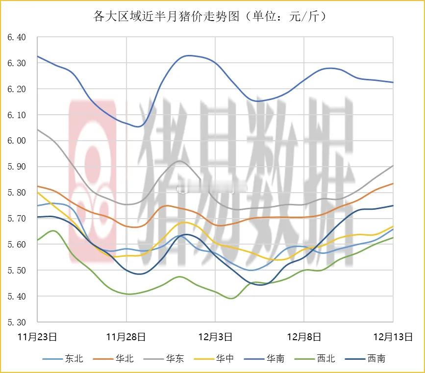据猪易数据监测数据显示，2025年12月13日标准体重生猪平均价格为11.62元