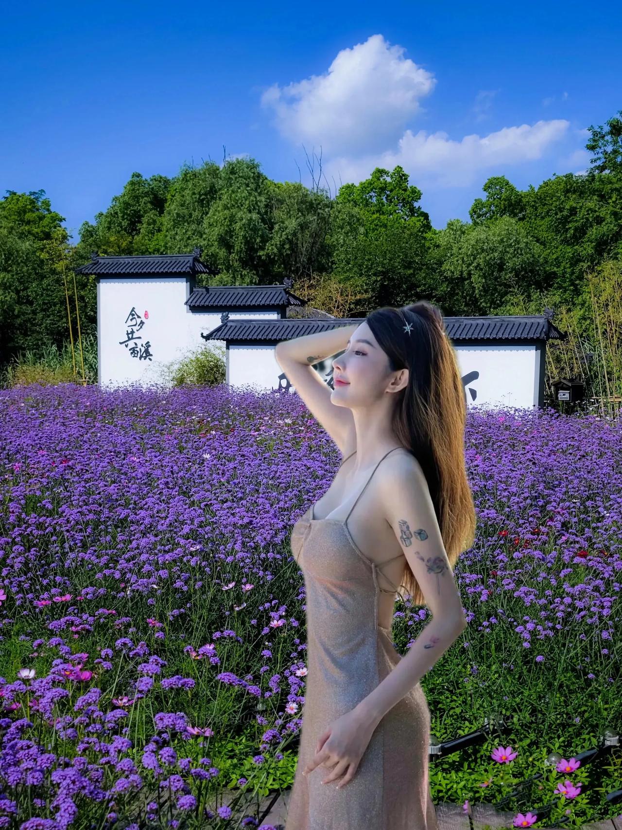 美丽的薰衣草上，蝴蝶翩翩起舞，美艳绝伦的你，如果女神维纳斯站立。





