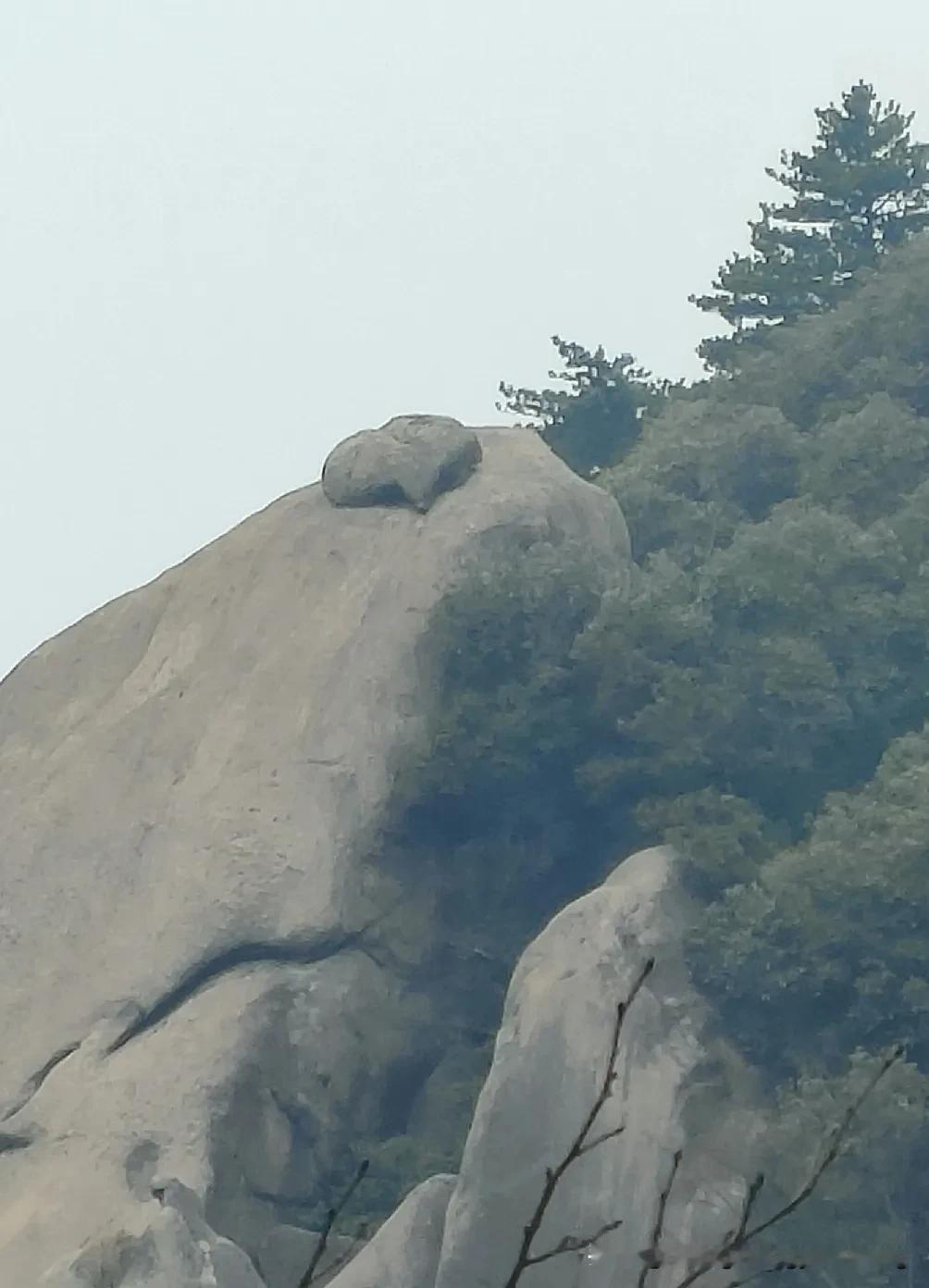 师徒四人各有个性都厉害
妖魔鬼怪均有背景惹不得
一路向西诚心取得真经来
满载而归