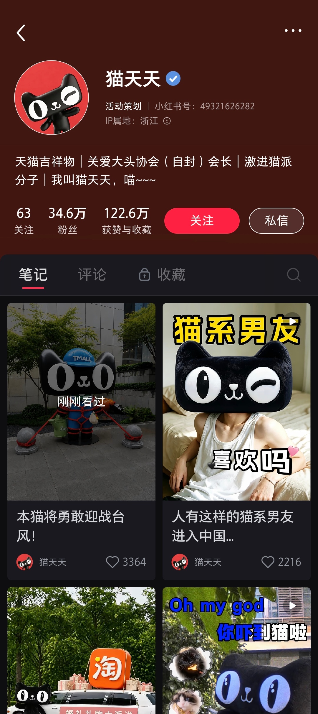 道理我都懂，就是这猫不太正经啊 