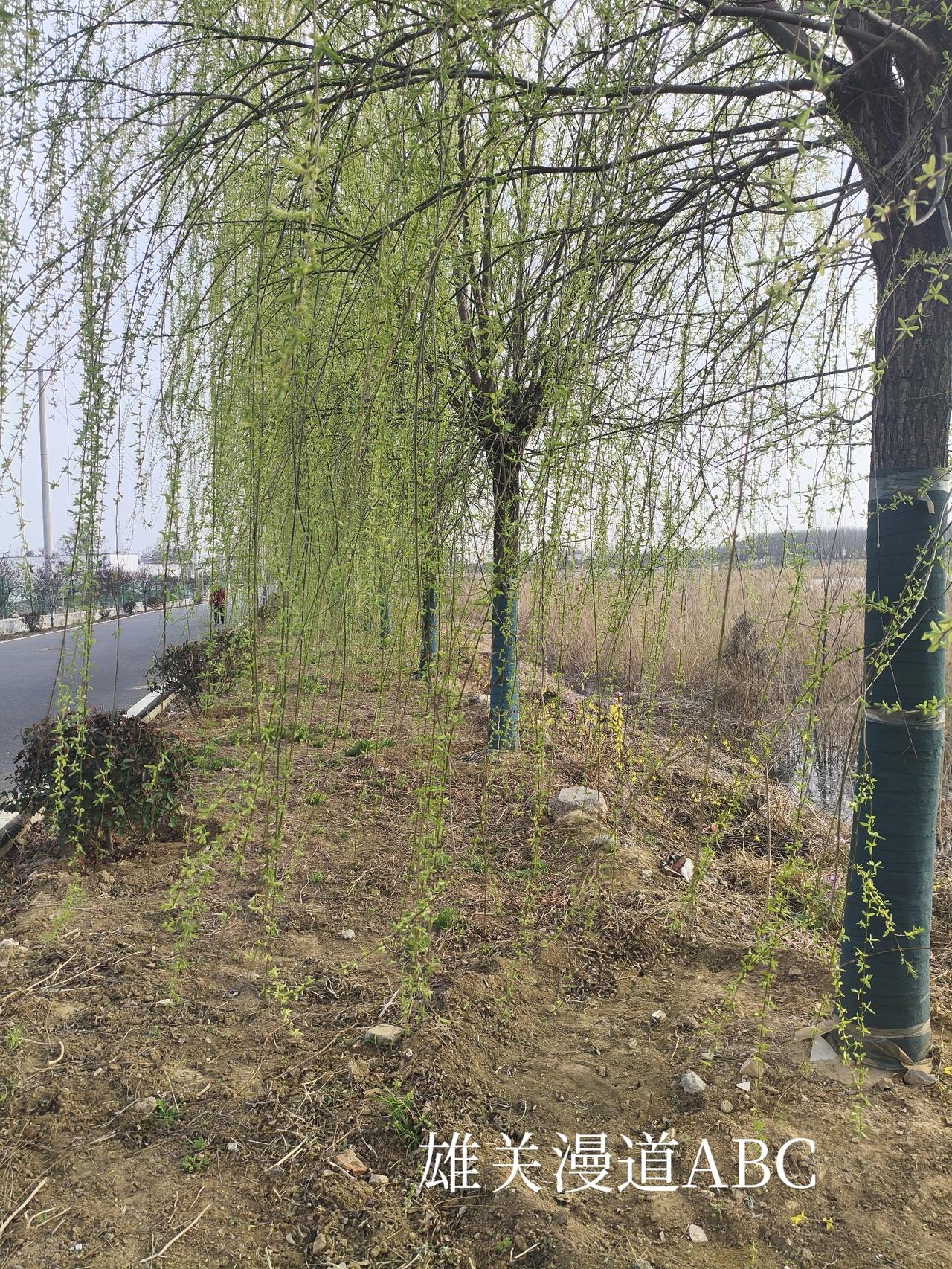 山林翠，
夕阳美。
头条首发