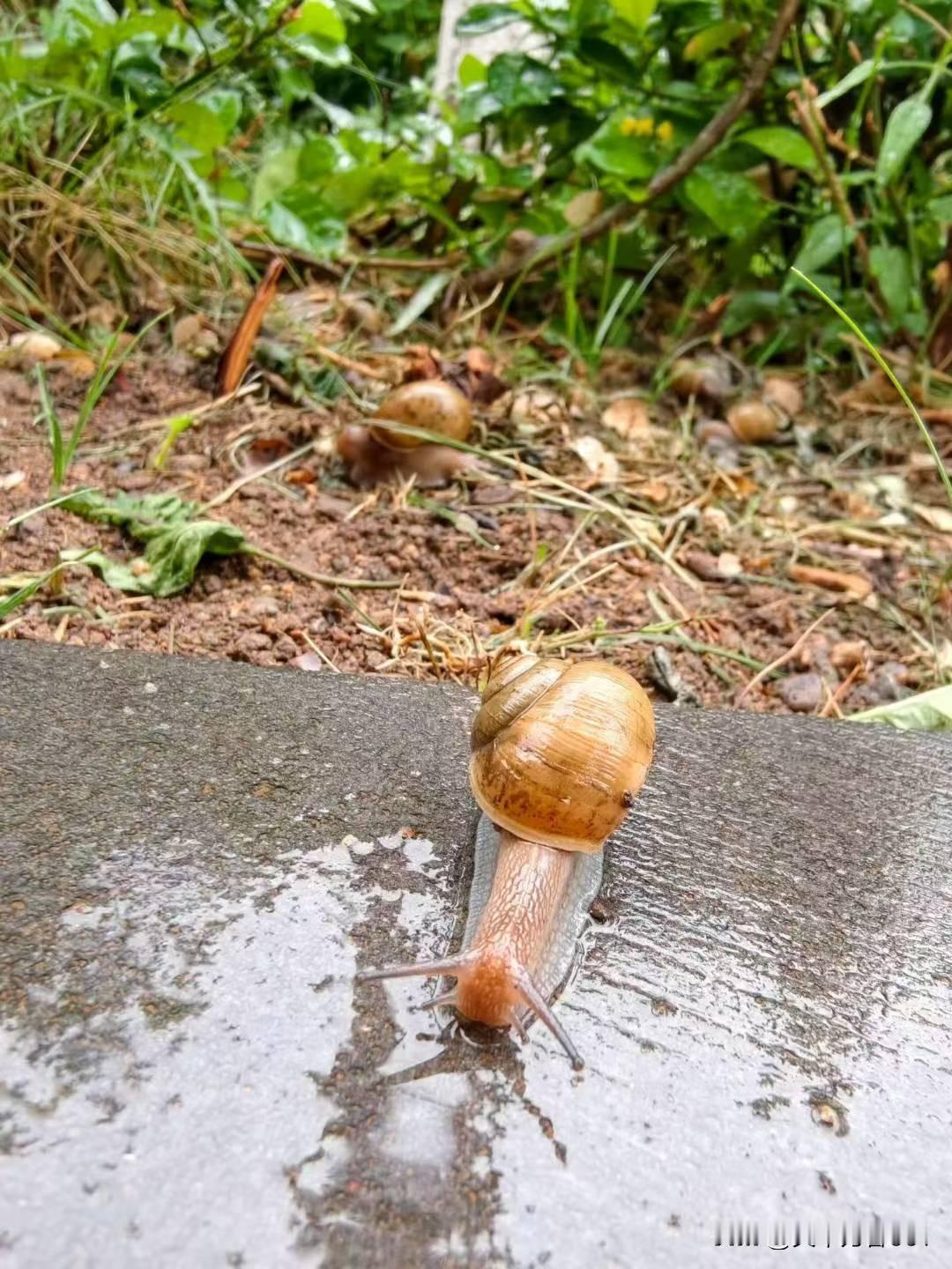 一辈子能去的地方有很多
但是能回的地方却很少
所以我们一定要珍惜
人生一世，能踏