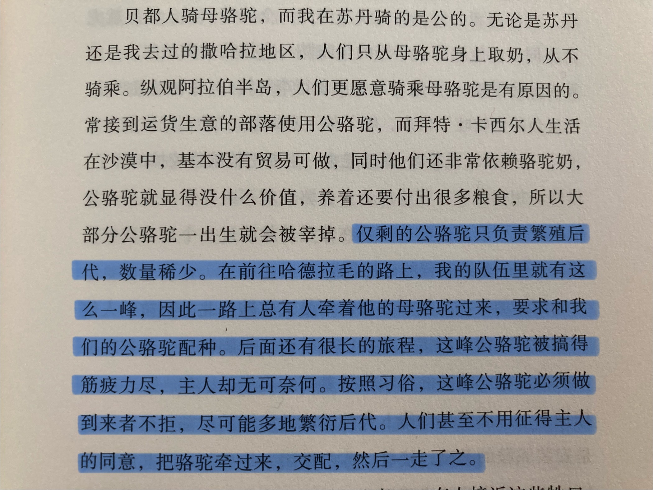 可怜的公骆驼[允悲] ​​​