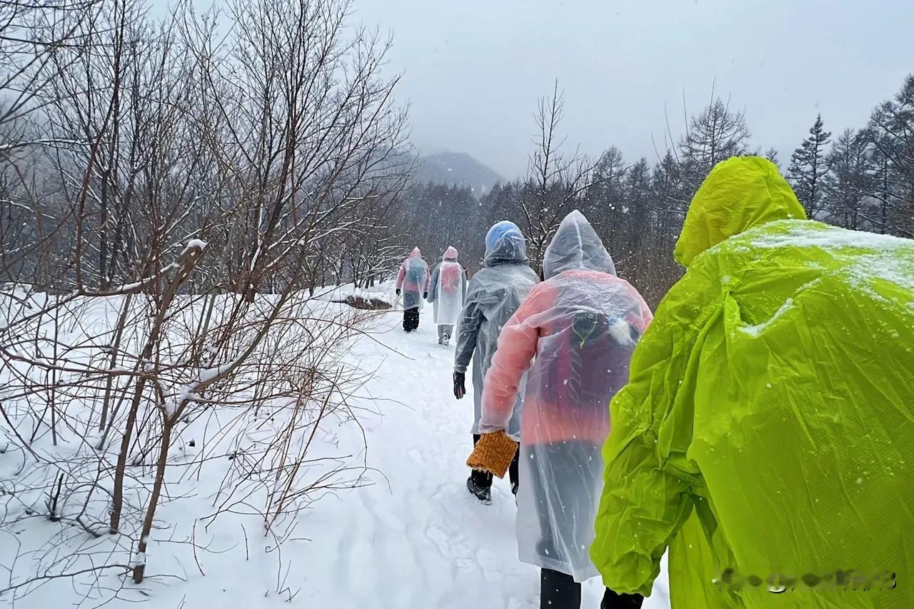 《春雪·山行漫记》
（原创首发）陋室听秋/文
 
三月，本是春色萌动、暖阳初照的