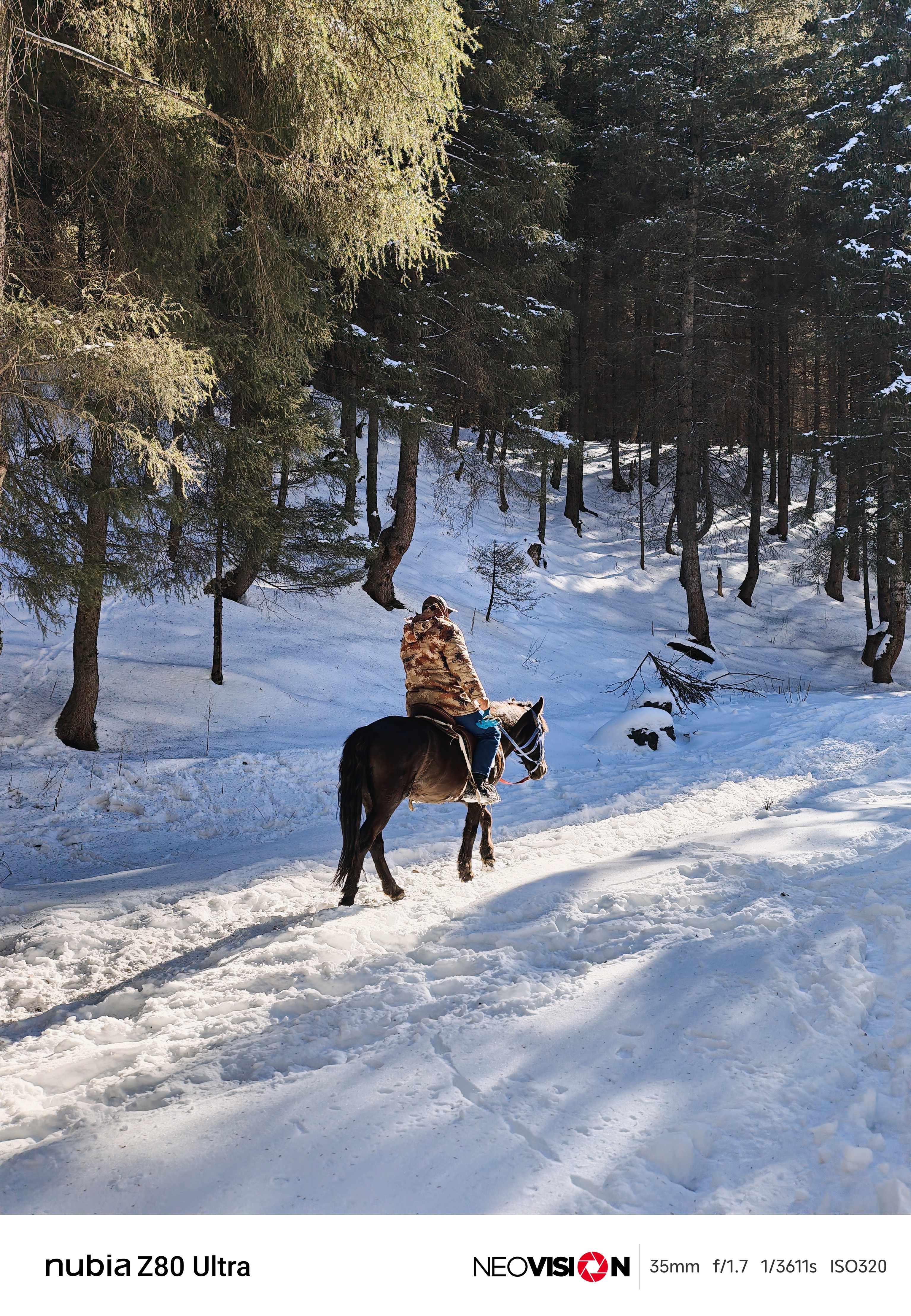 计划过两天去东北，还没出发就已经开始后悔了，看了看天气，接近零下30度。如果能重